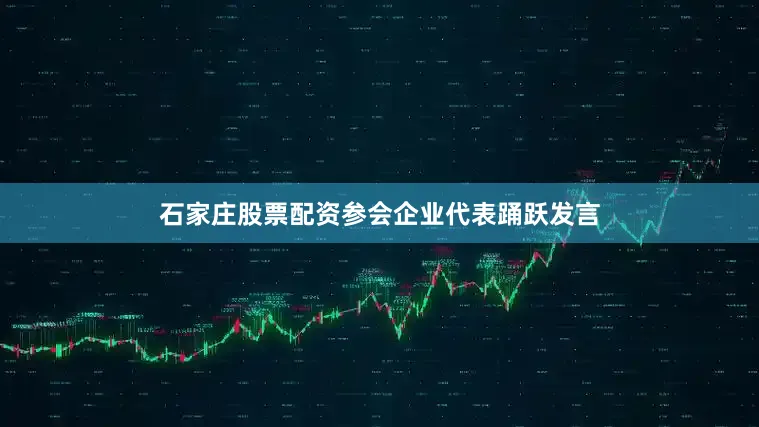 石家庄股票配资参会企业代表踊跃发言