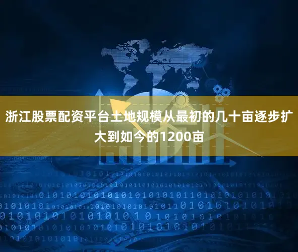 浙江股票配资平台土地规模从最初的几十亩逐步扩大到如今的1200亩