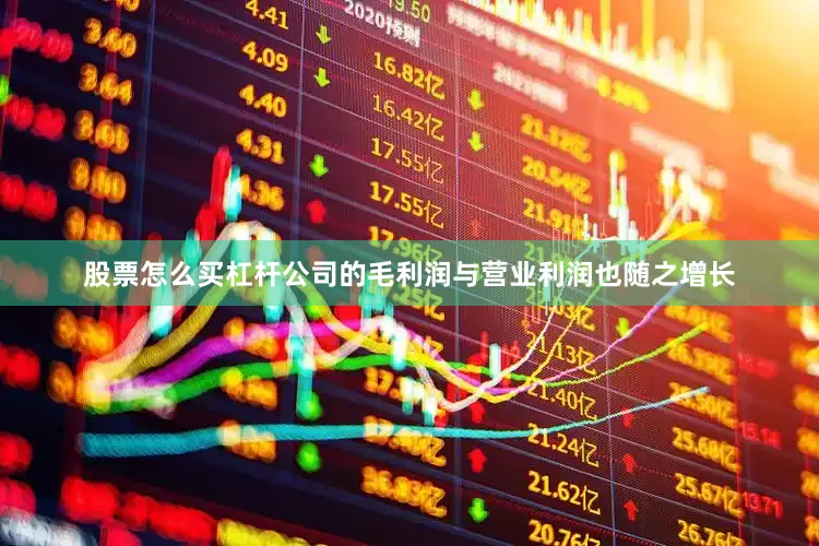 股票怎么买杠杆公司的毛利润与营业利润也随之增长