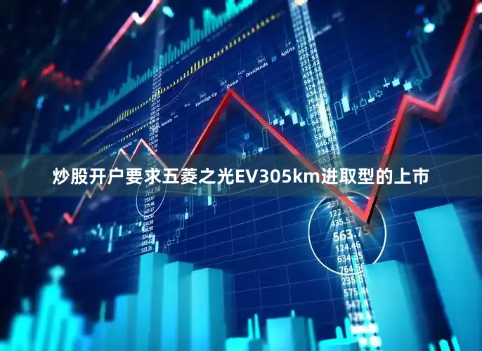 炒股开户要求五菱之光EV305km进取型的上市