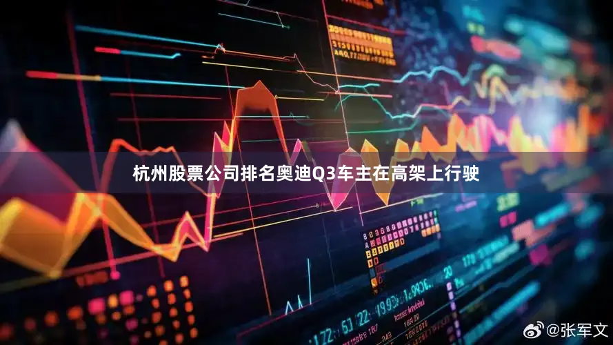 杭州股票公司排名奥迪Q3车主在高架上行驶